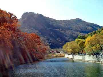 新澳天天开奖资料大全旅游团，艳妇孔菲